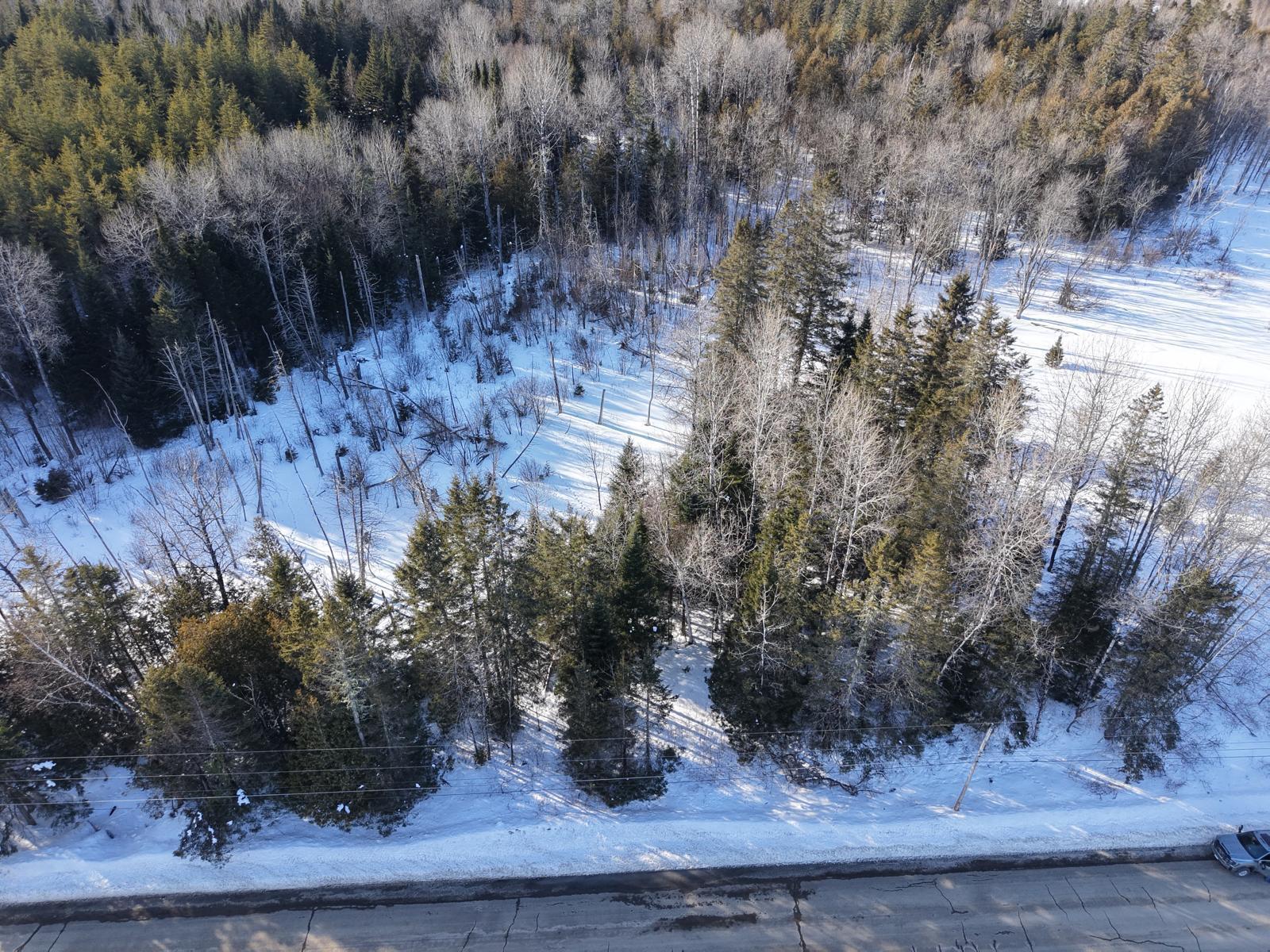 Westfield ME 04787