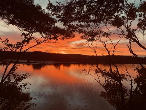 31 Luna Lane Trescott Twp ME 04652