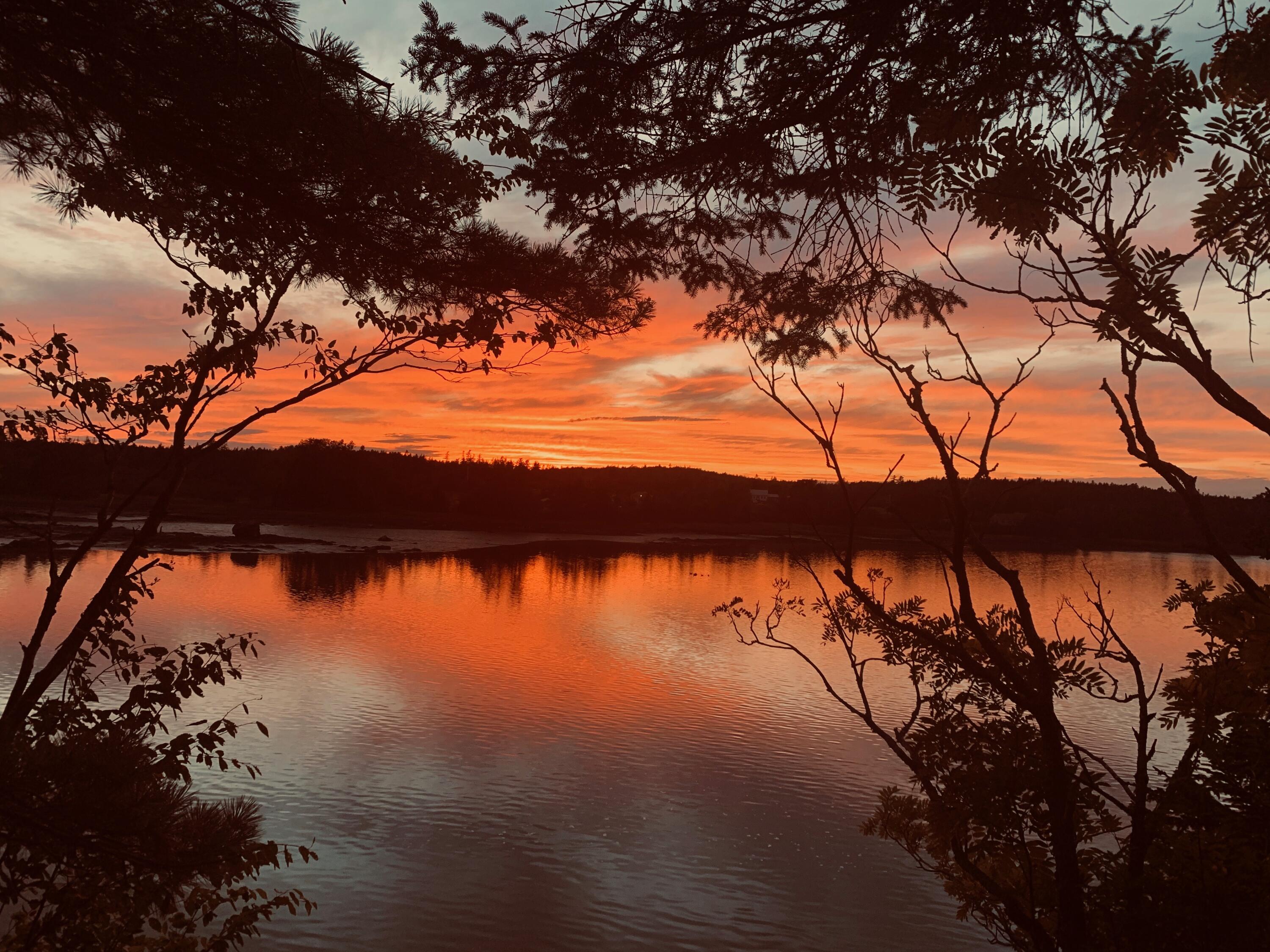 Trescott Twp ME, 31 Luna Lane