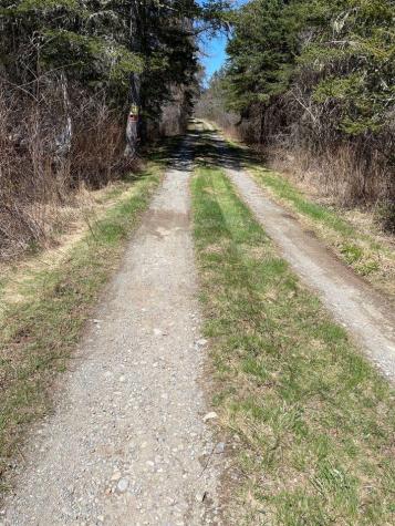 31 Luna Lane Trescott Twp ME 04652