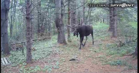 31 Luna Lane Trescott Twp ME 04652