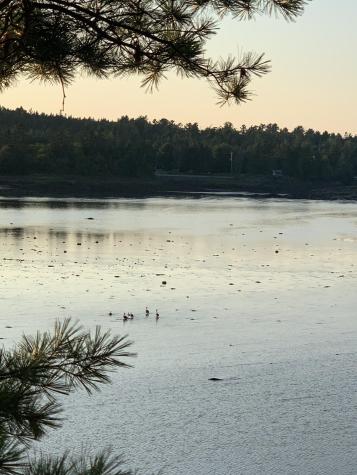 31 Luna Lane Trescott Twp ME 04652