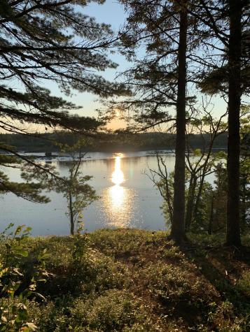 31 Luna Lane Trescott Twp ME 04652