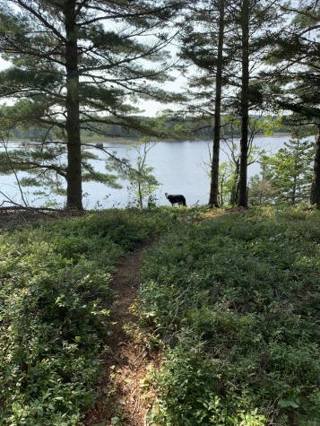 31 Luna Lane Trescott Twp ME 04652