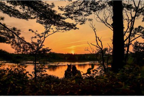 31 Luna Lane Trescott Twp ME 04652