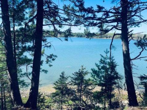 31 Luna Lane Trescott Twp ME 04652