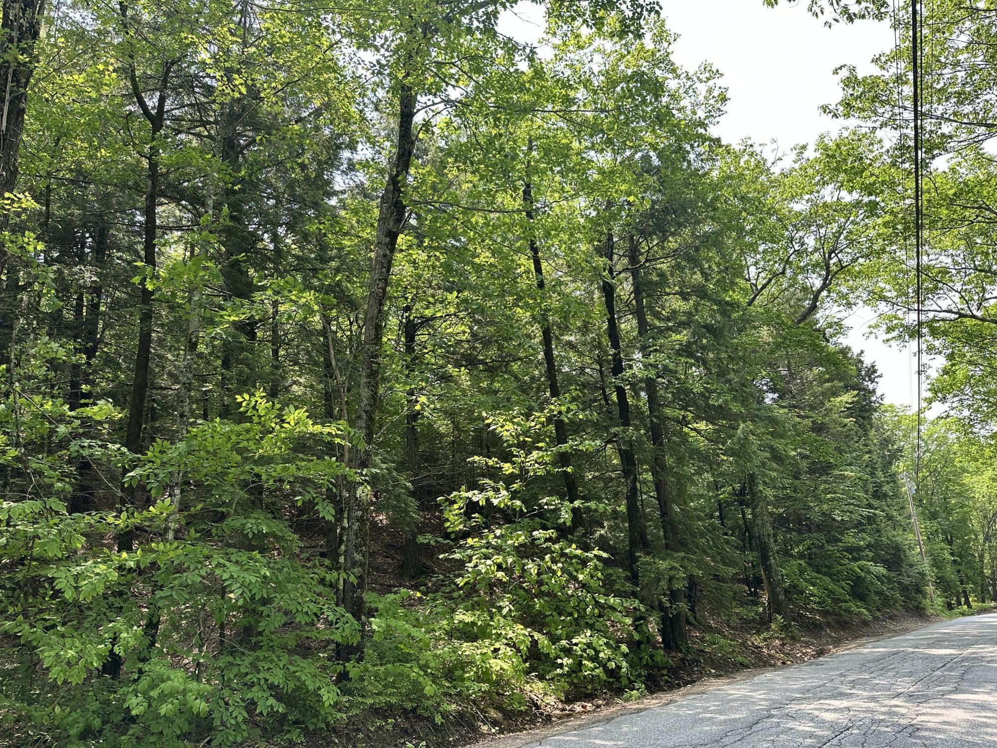 Lot 20 Dyke Mountain Road Sebago ME 04029