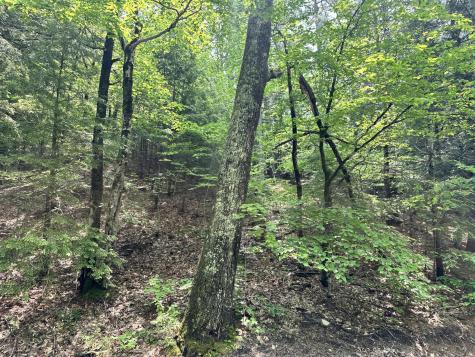 Lot 20 Dyke Mountain Road Sebago ME 04029