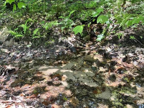 Lot 20 Dyke Mountain Road Sebago ME 04029