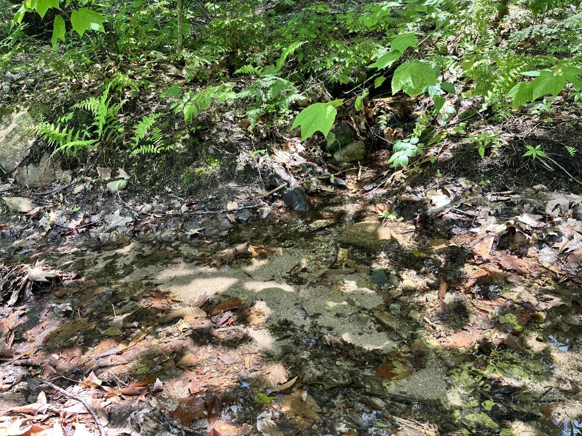 Lot 20 Dyke Mountain Road Sebago ME 04029
