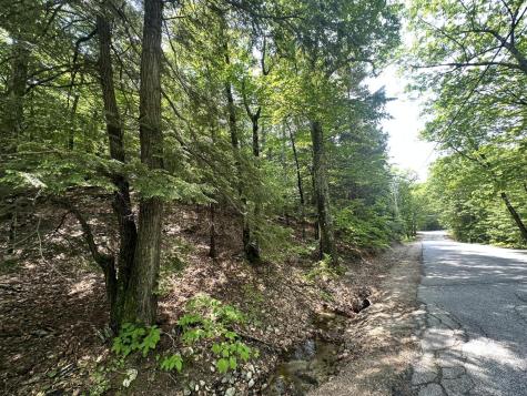 Lot 20 Dyke Mountain Road Sebago ME 04029