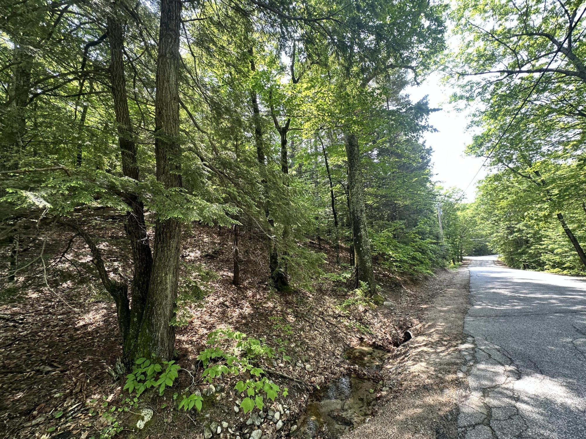 Lot 20 Dyke Mountain Road Sebago ME 04029