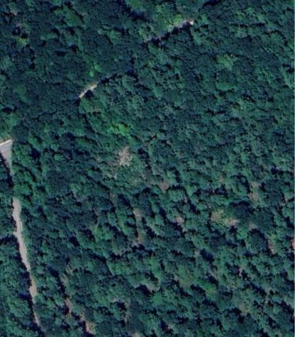 Lot 20 Dyke Mountain Road Sebago ME 04029
