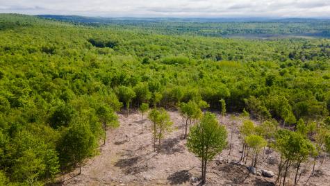 Lot 21 Grand View Drive Dedham ME 04429