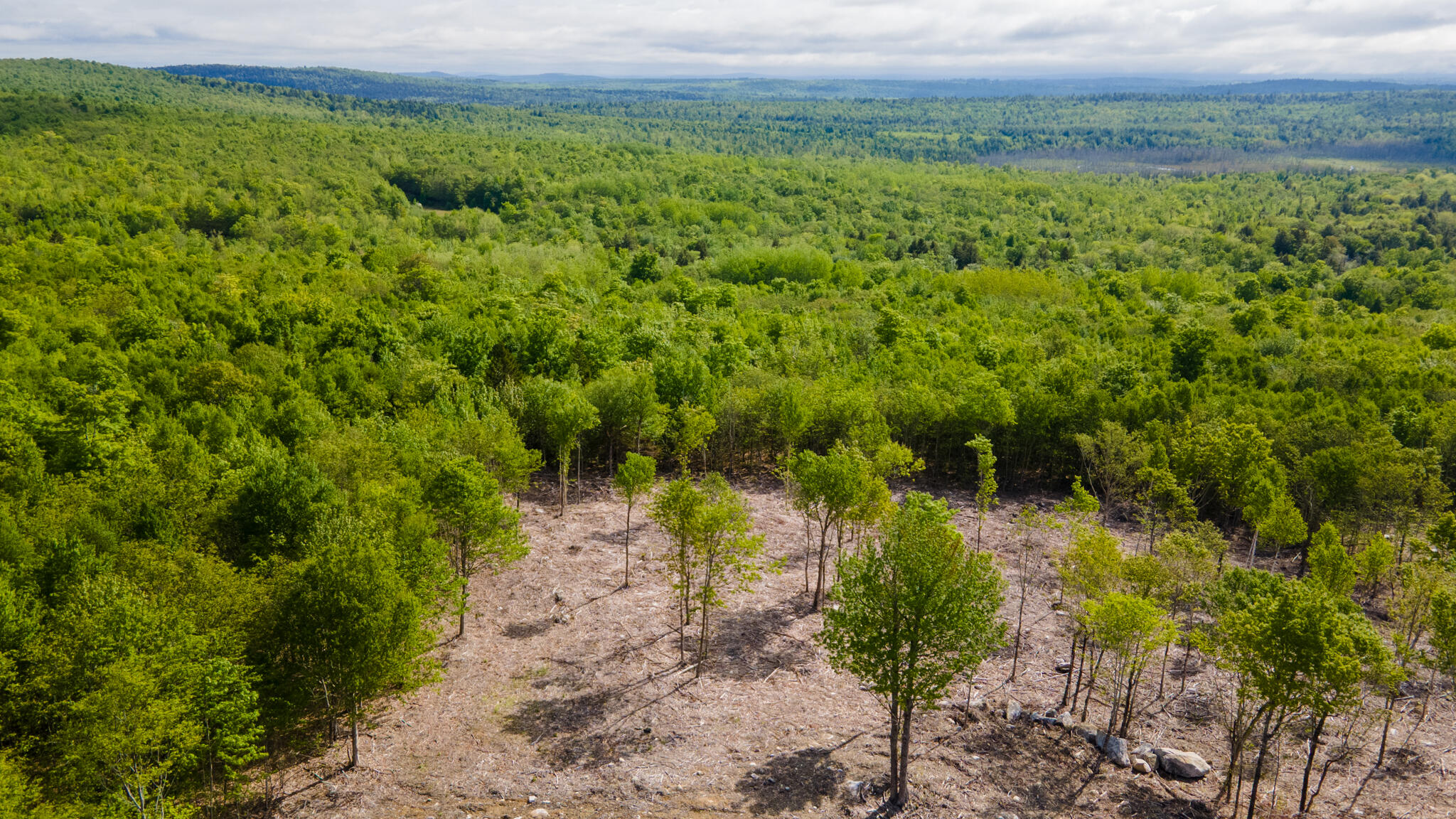 Lot 21 Grand View Drive Dedham ME 04429