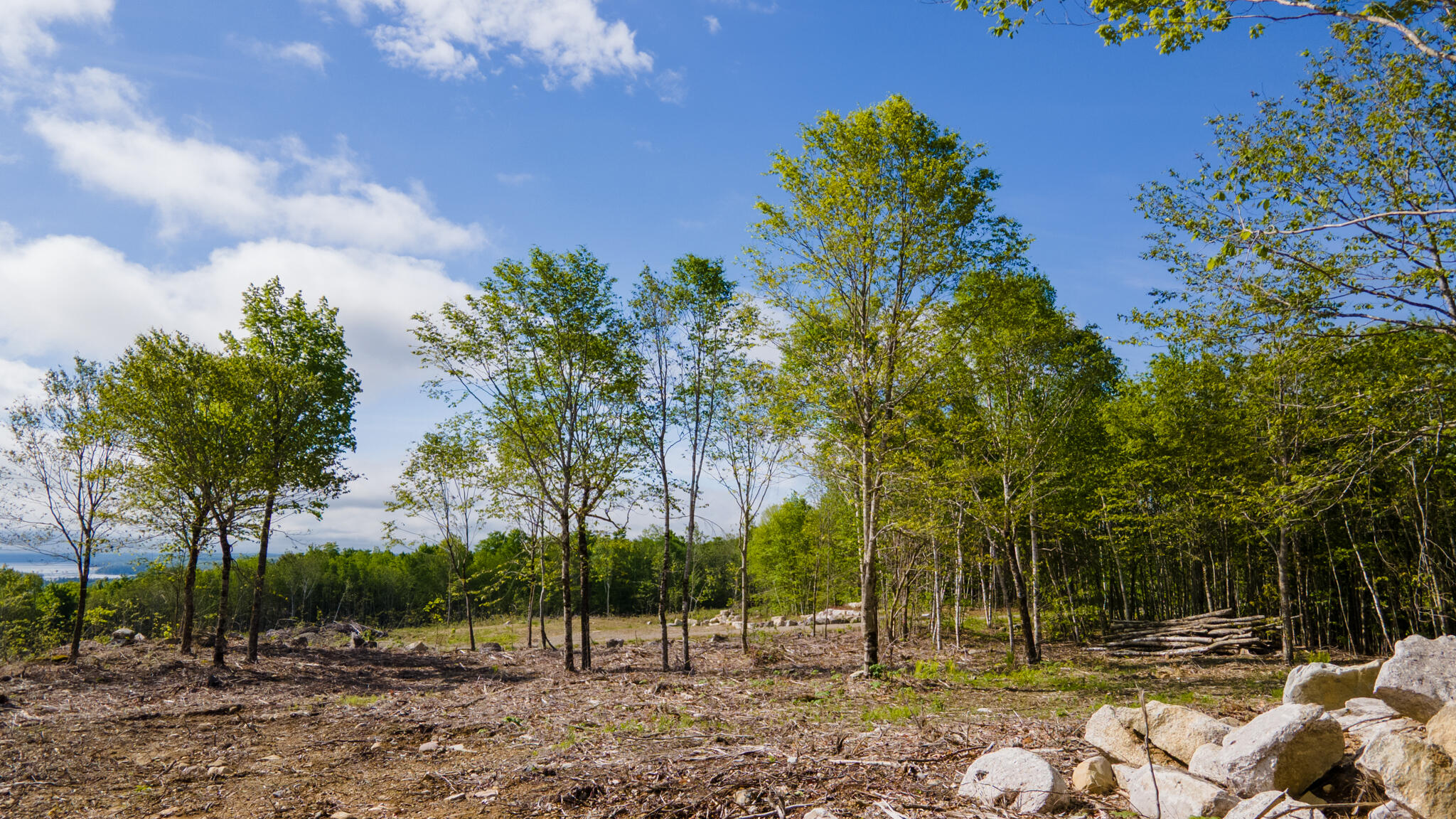 Lot 21 Grand View Drive Dedham ME 04429