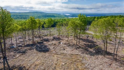 Lot 21 Grand View Drive Dedham ME 04429