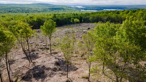 Lot 21 Grand View Drive Dedham ME 04429