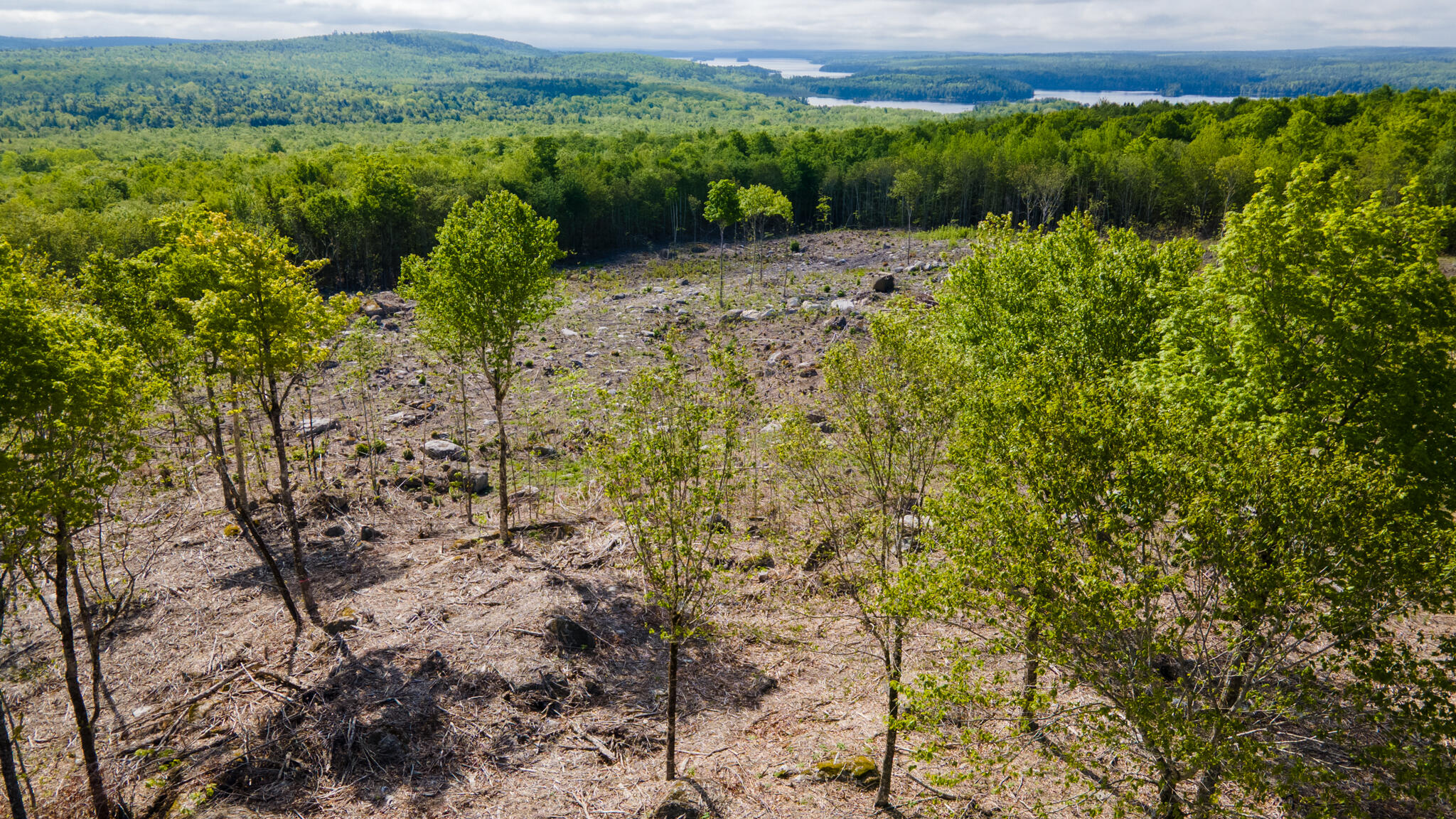 Lot 21 Grand View Drive Dedham ME 04429