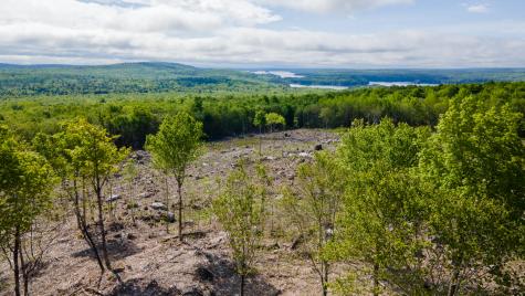 Lot 21 Grand View Drive Dedham ME 04429