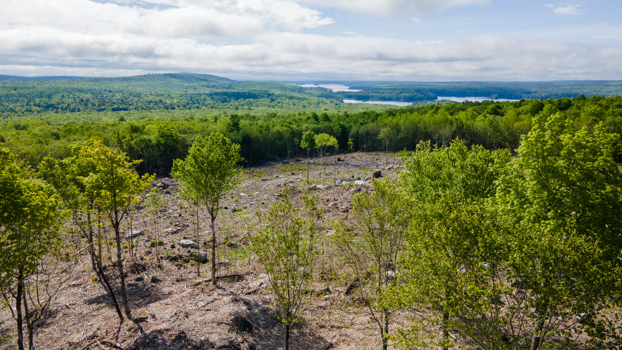 Lot 21 Grand View Drive Dedham ME 04429