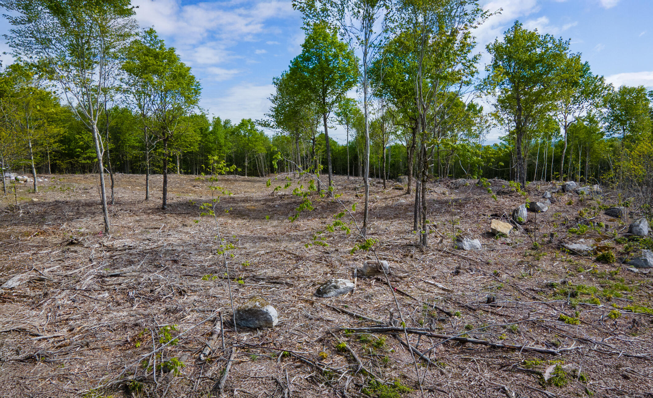 Lot 21 Grand View Drive Dedham ME 04429