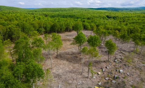 Lot 21 Grand View Drive Dedham ME 04429