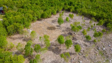 Lot 21 Grand View Drive Dedham ME 04429