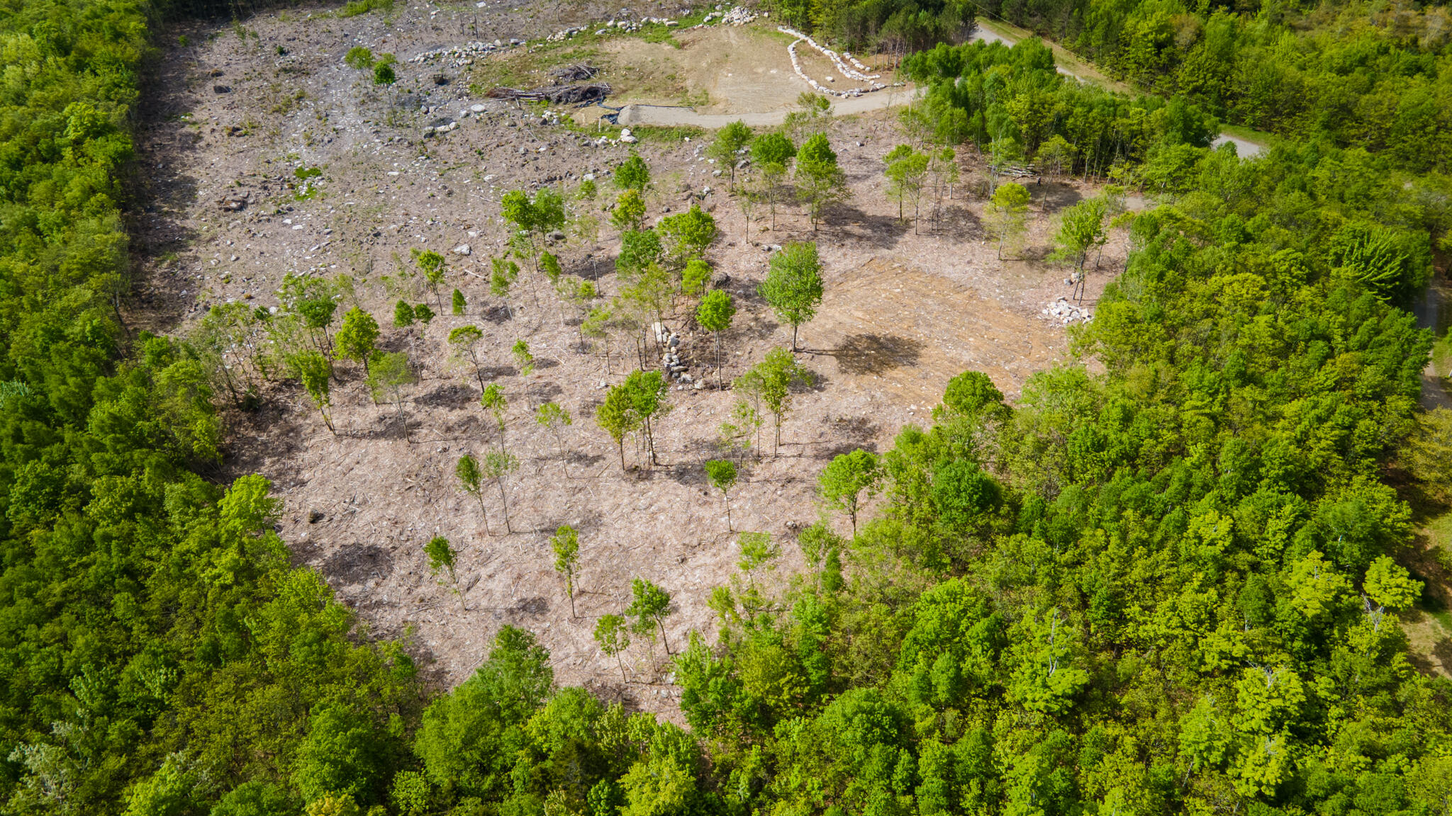 Lot 21 Grand View Drive Dedham ME 04429