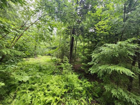 Lot 6-7 Breezy Lane Harrison ME 04040