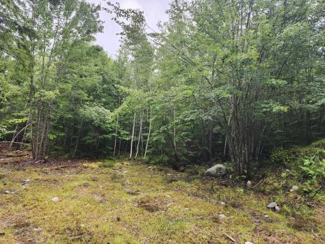 Lot 6-7 Breezy Lane Harrison ME 04040