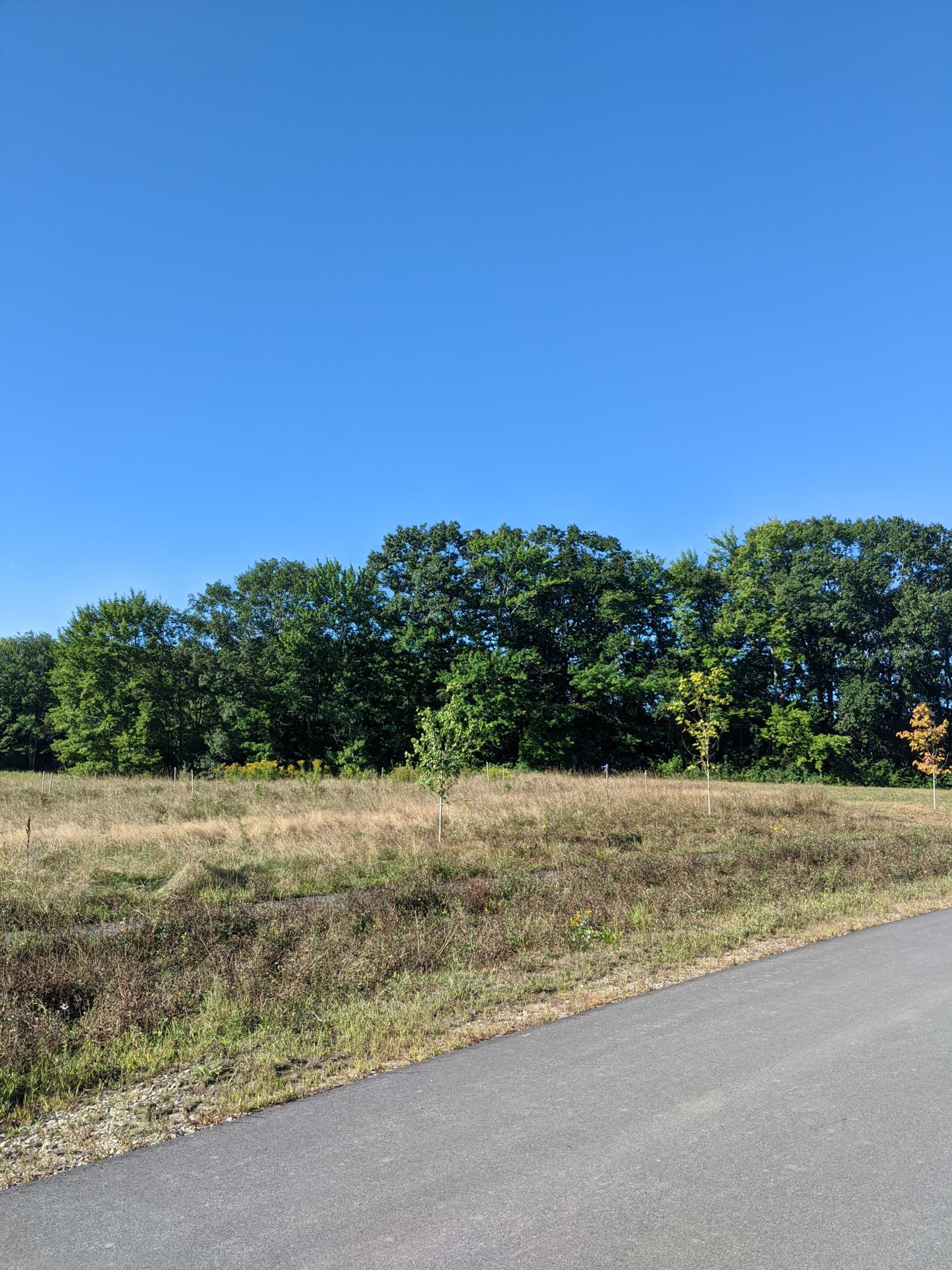 12 Higgins Drive Kennebunk ME 04043