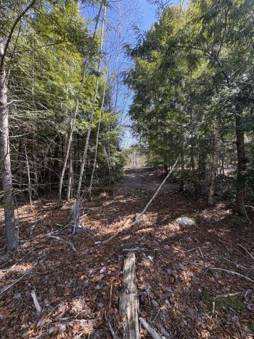 Lot 116 Bass Overlook Waltham ME 04605