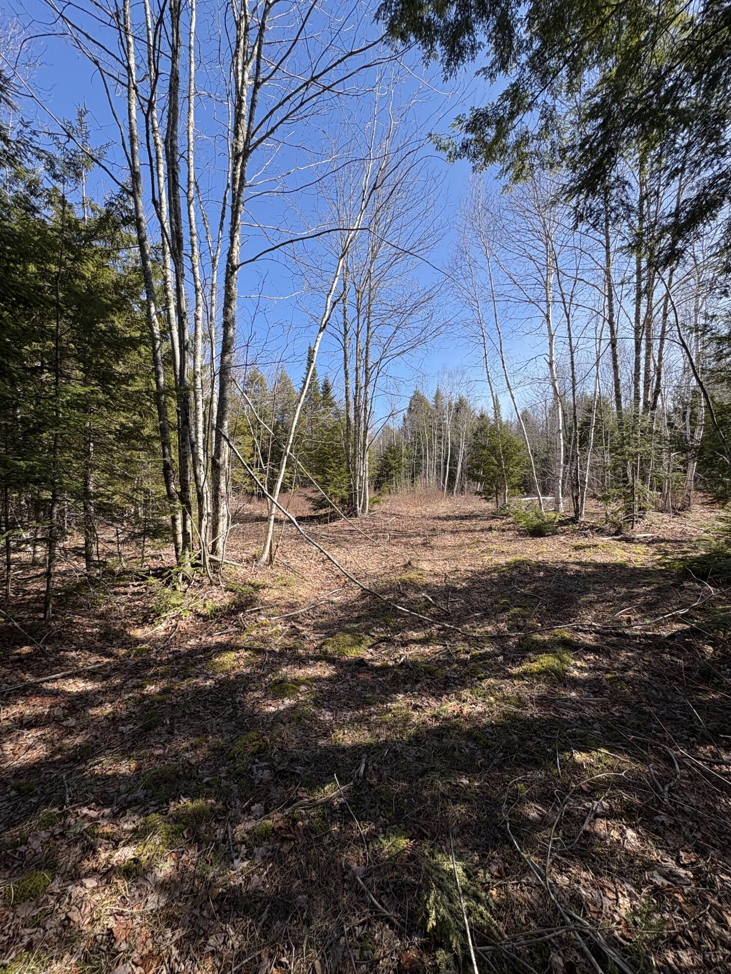 Lot 116 Bass Overlook Waltham ME 04605