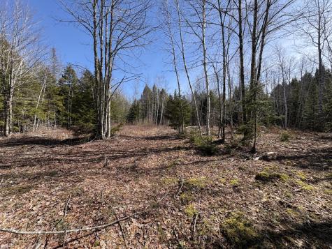 Lot 116 Bass Overlook Waltham ME 04605