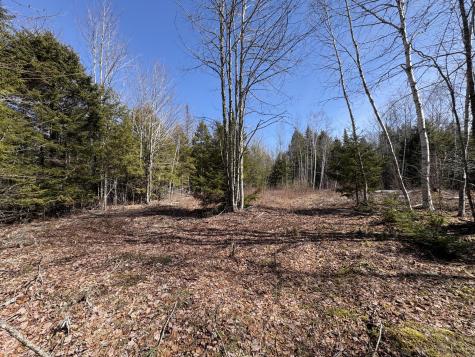 Lot 116 Bass Overlook Waltham ME 04605