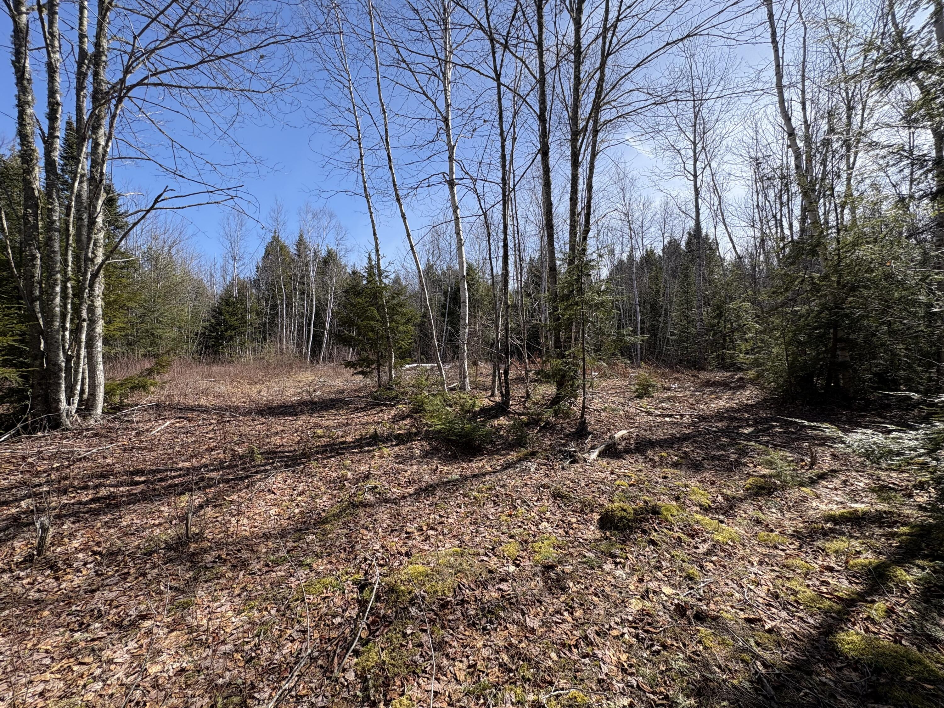 Lot 116 Bass Overlook Waltham ME 04605