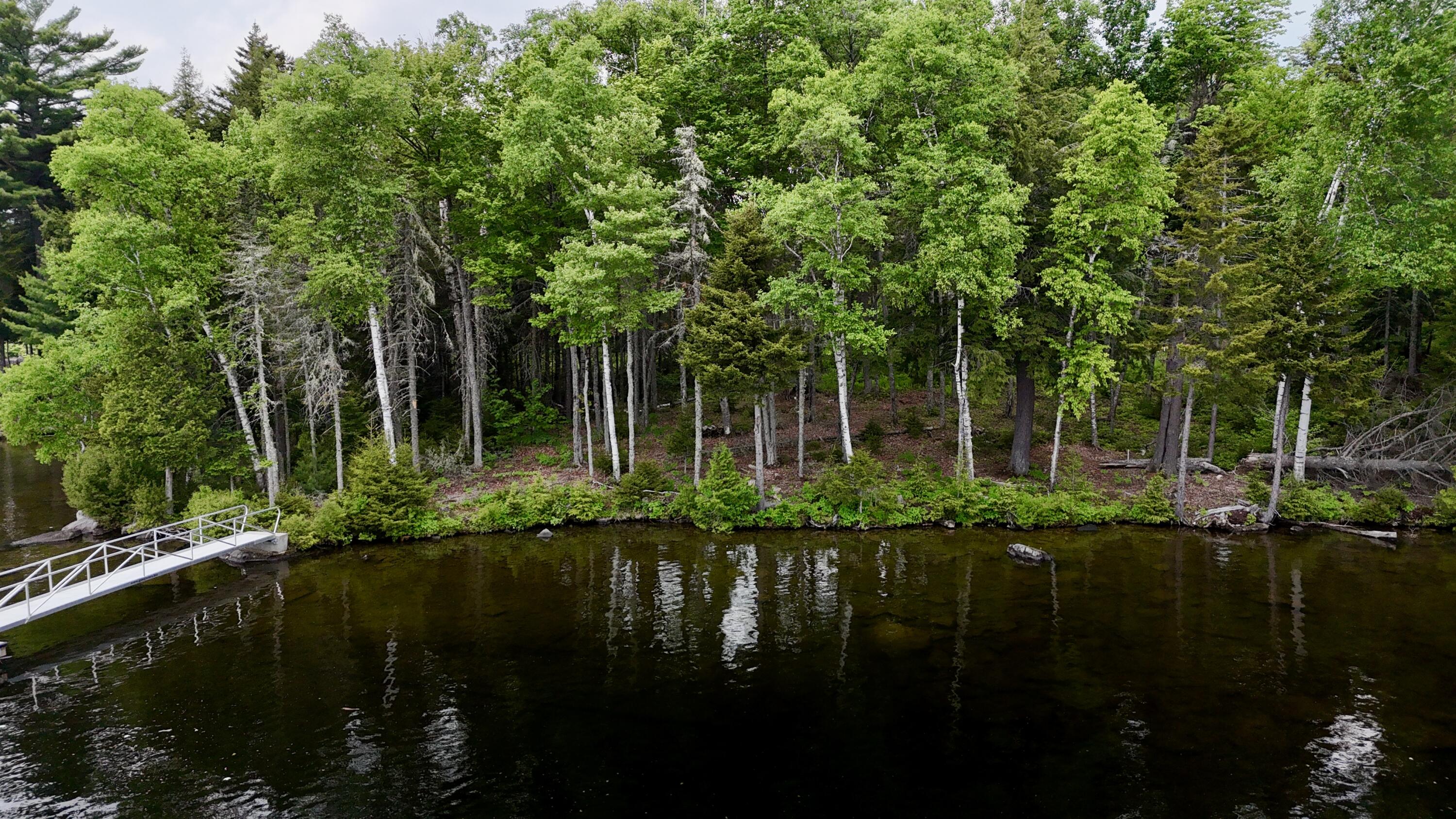 Lot 3 Mountain View Road Big Moose Twp ME 04441