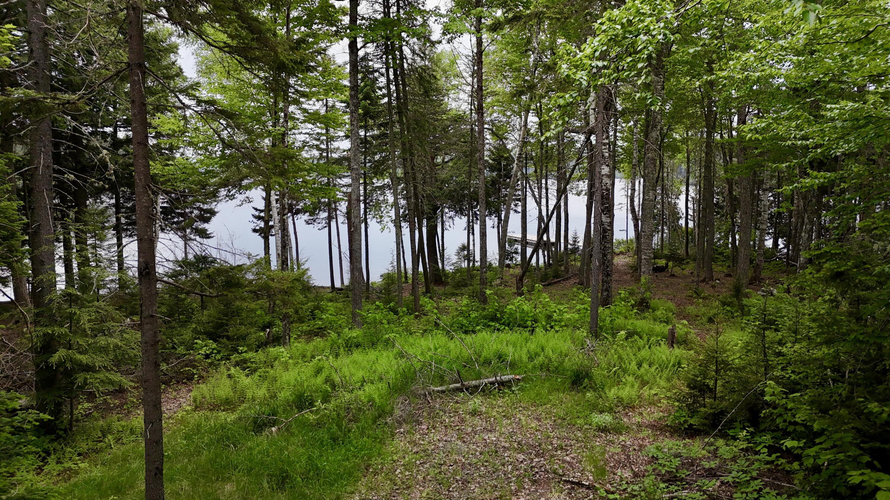 Lot 3 Mountain View Road Big Moose Twp ME 04441