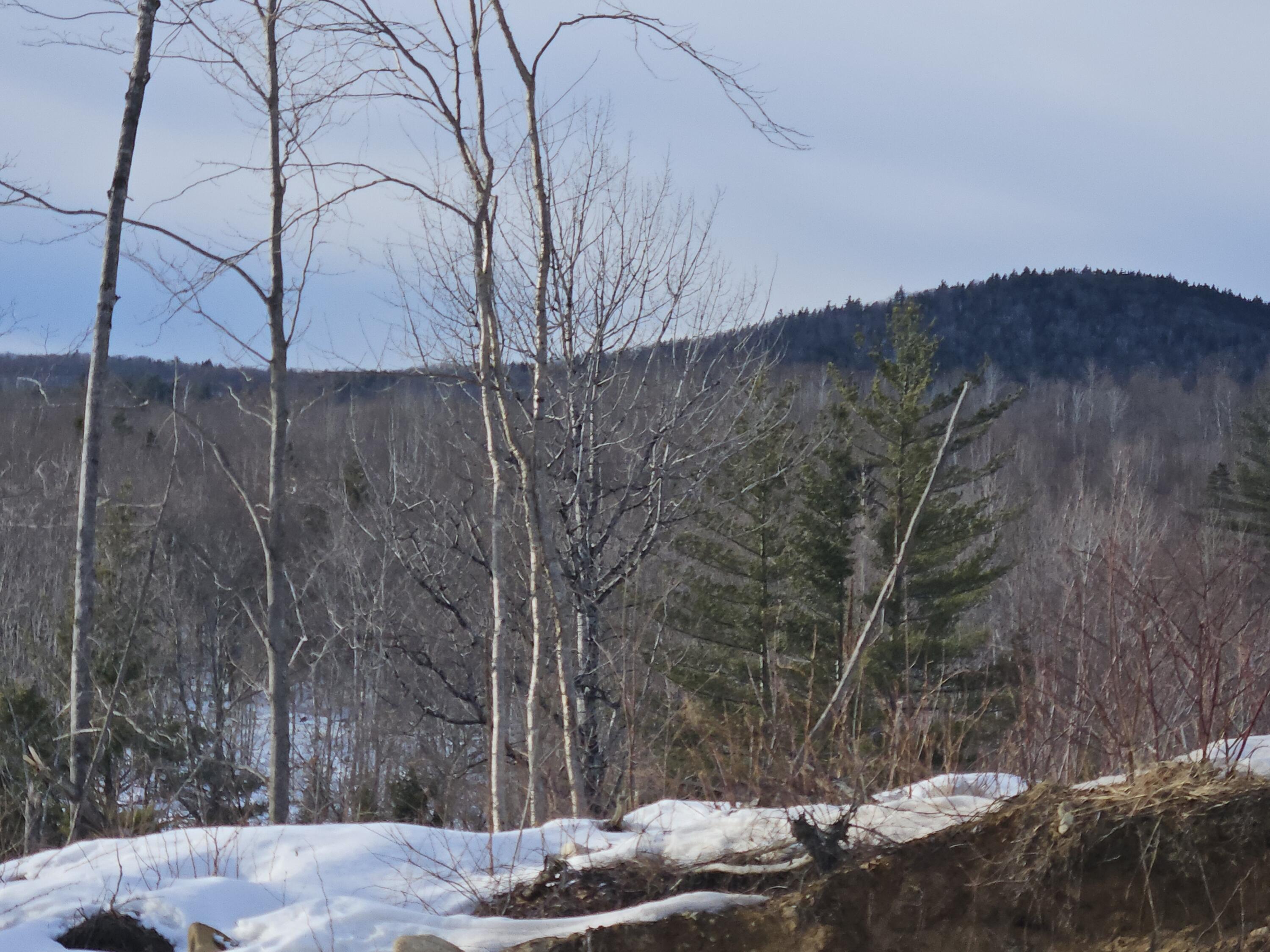 Lot #135 Pratt Road Wilton ME 04294