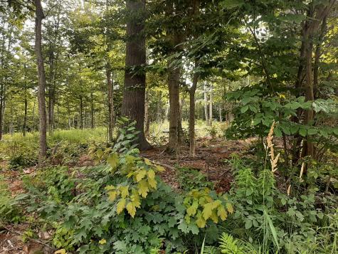 Lot 3 Ohio Street Glenburn ME 04401