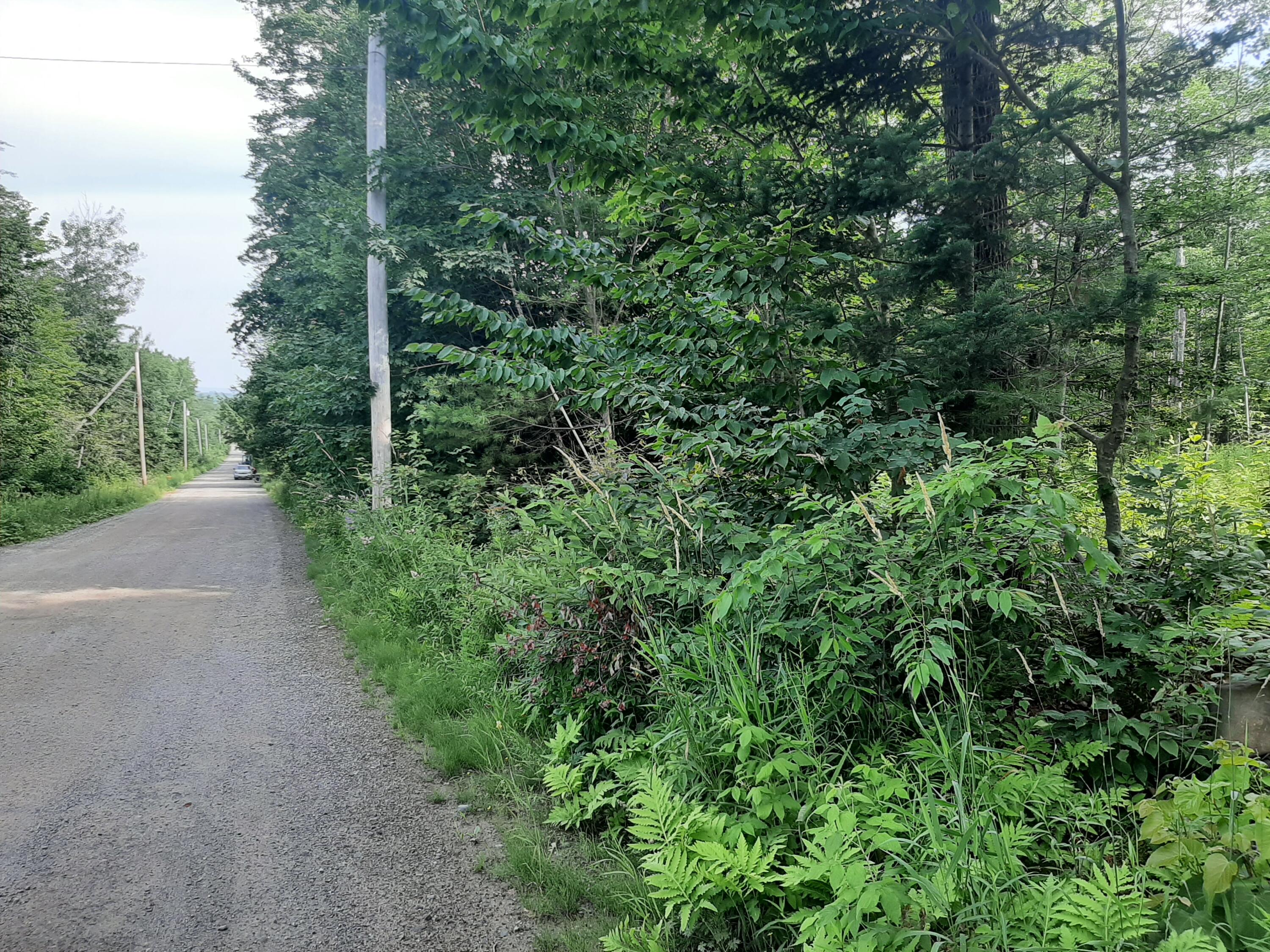 Lot 3 Ohio Street Glenburn ME 04401