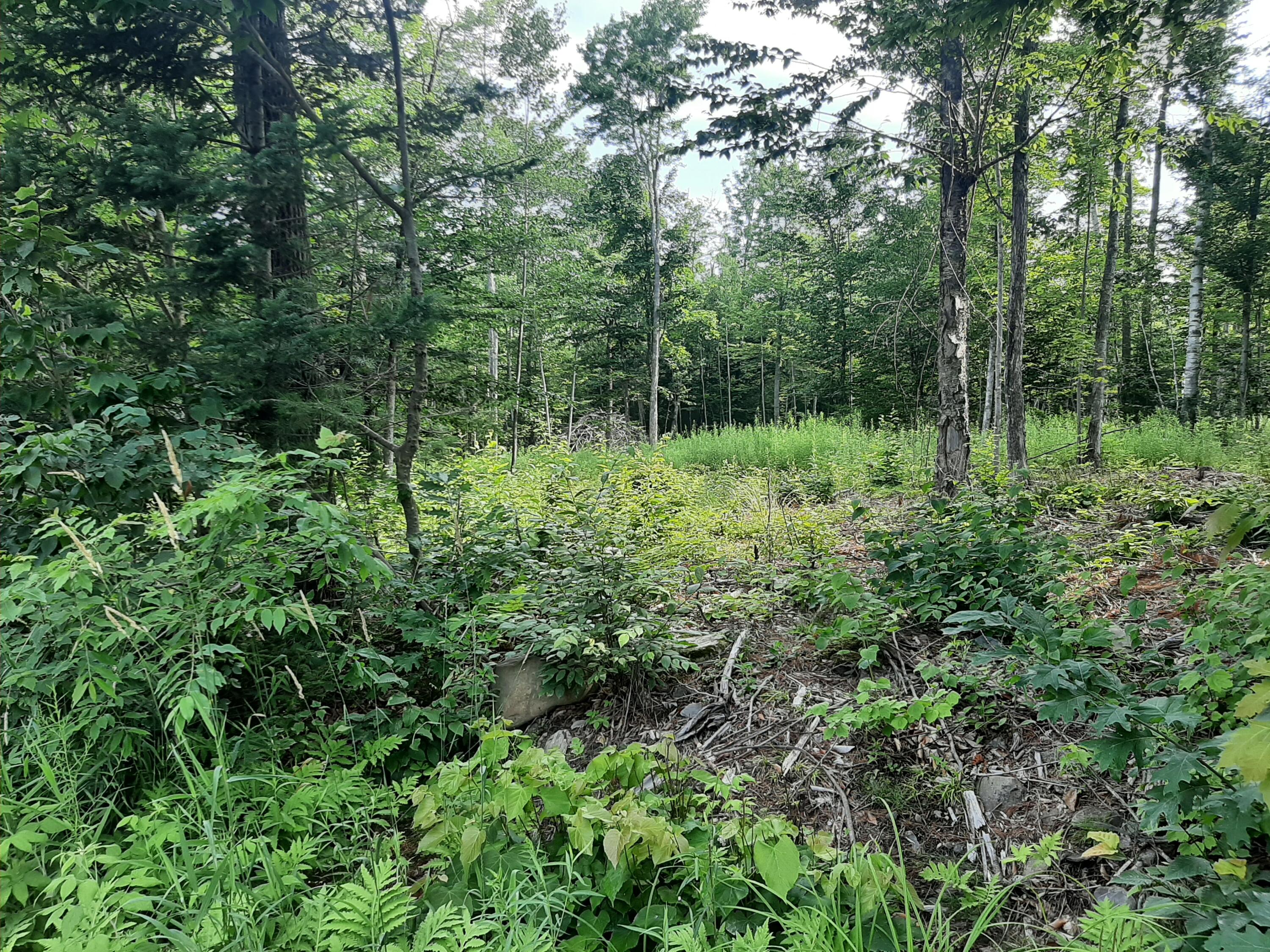 Lot 3 Ohio Street Glenburn ME 04401