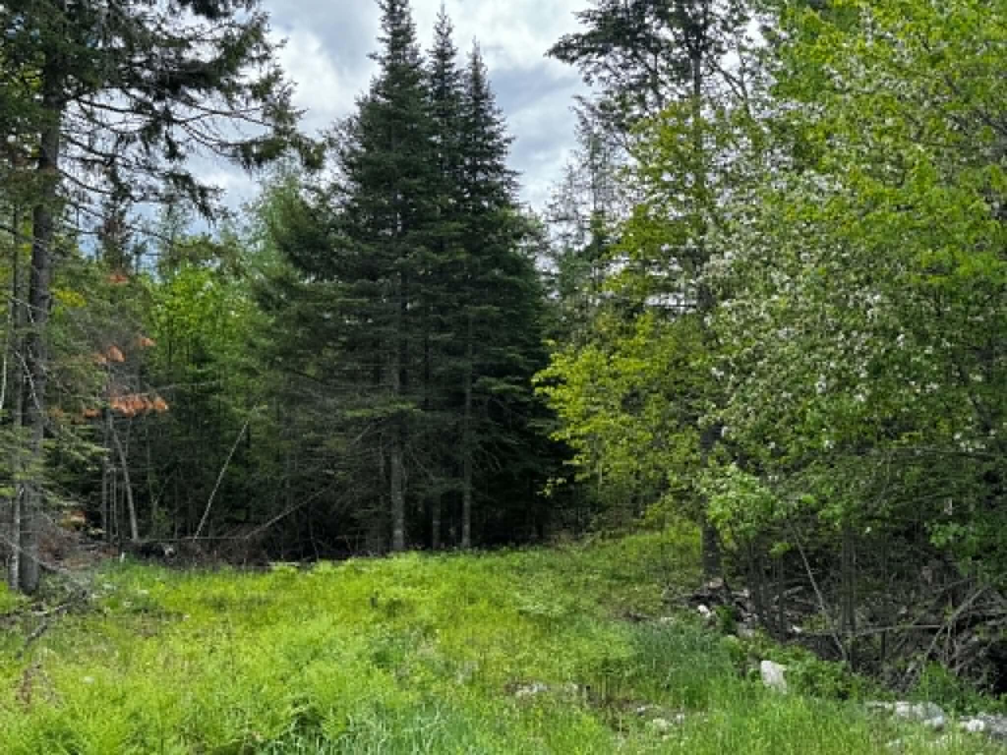 21 Cottage Road East Machias ME 04654
