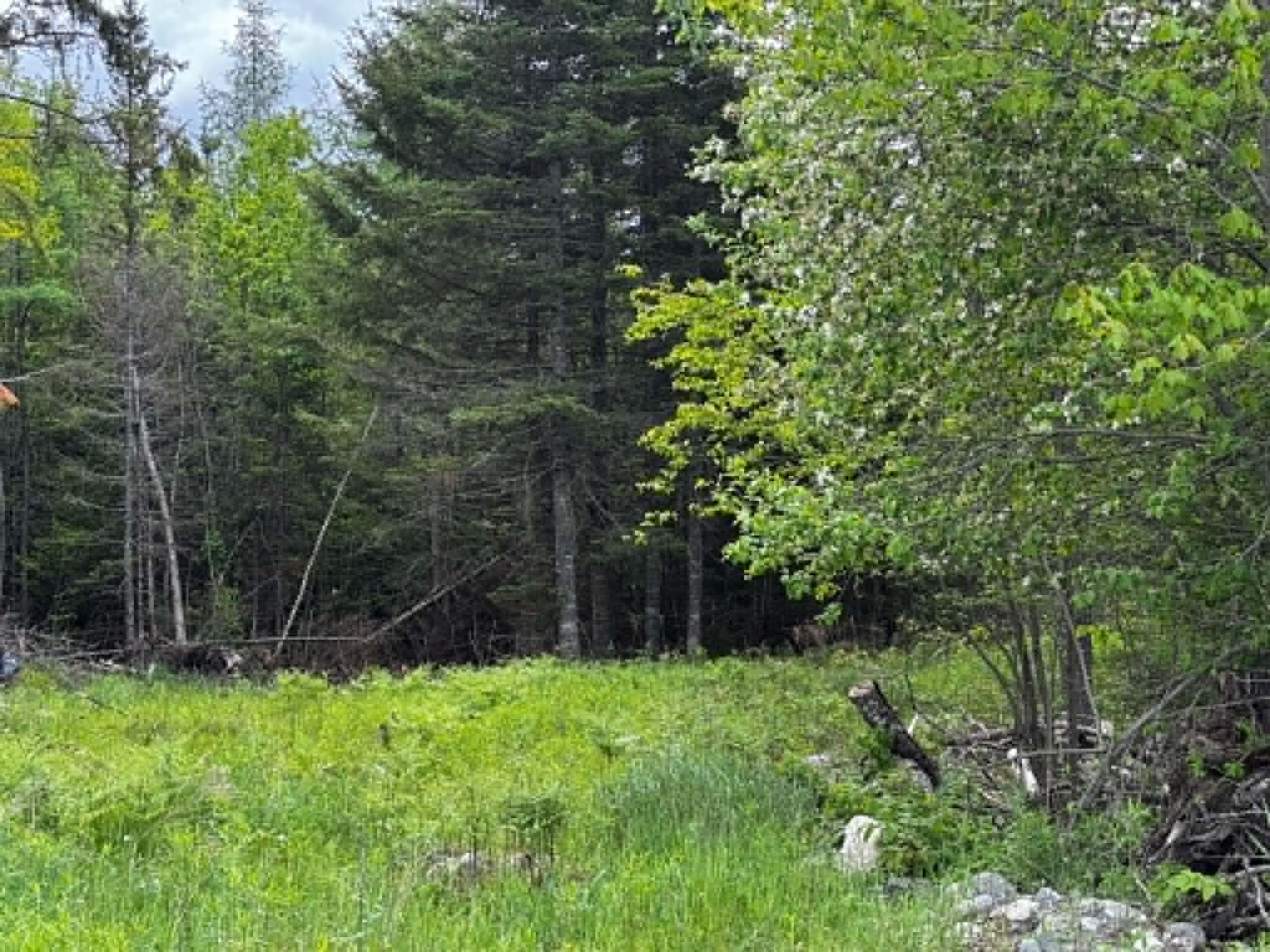 21 Cottage Road East Machias ME 04654