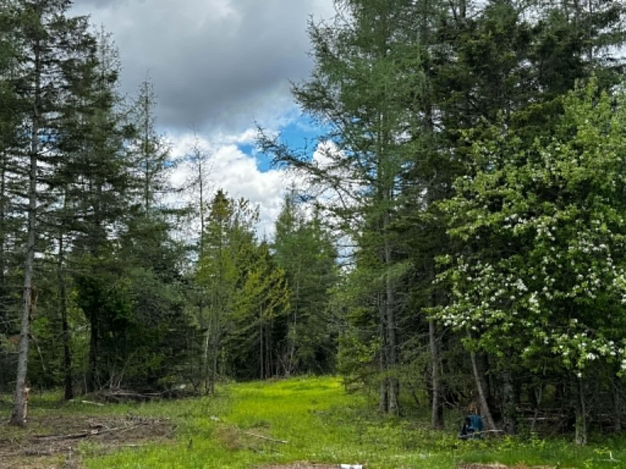 21 Cottage Road East Machias ME 04654