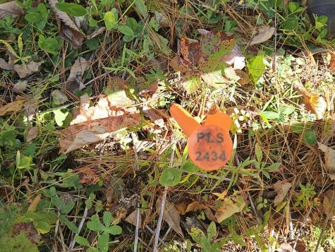 R11-033-1 Bailey Hill Road Farmington ME 04938