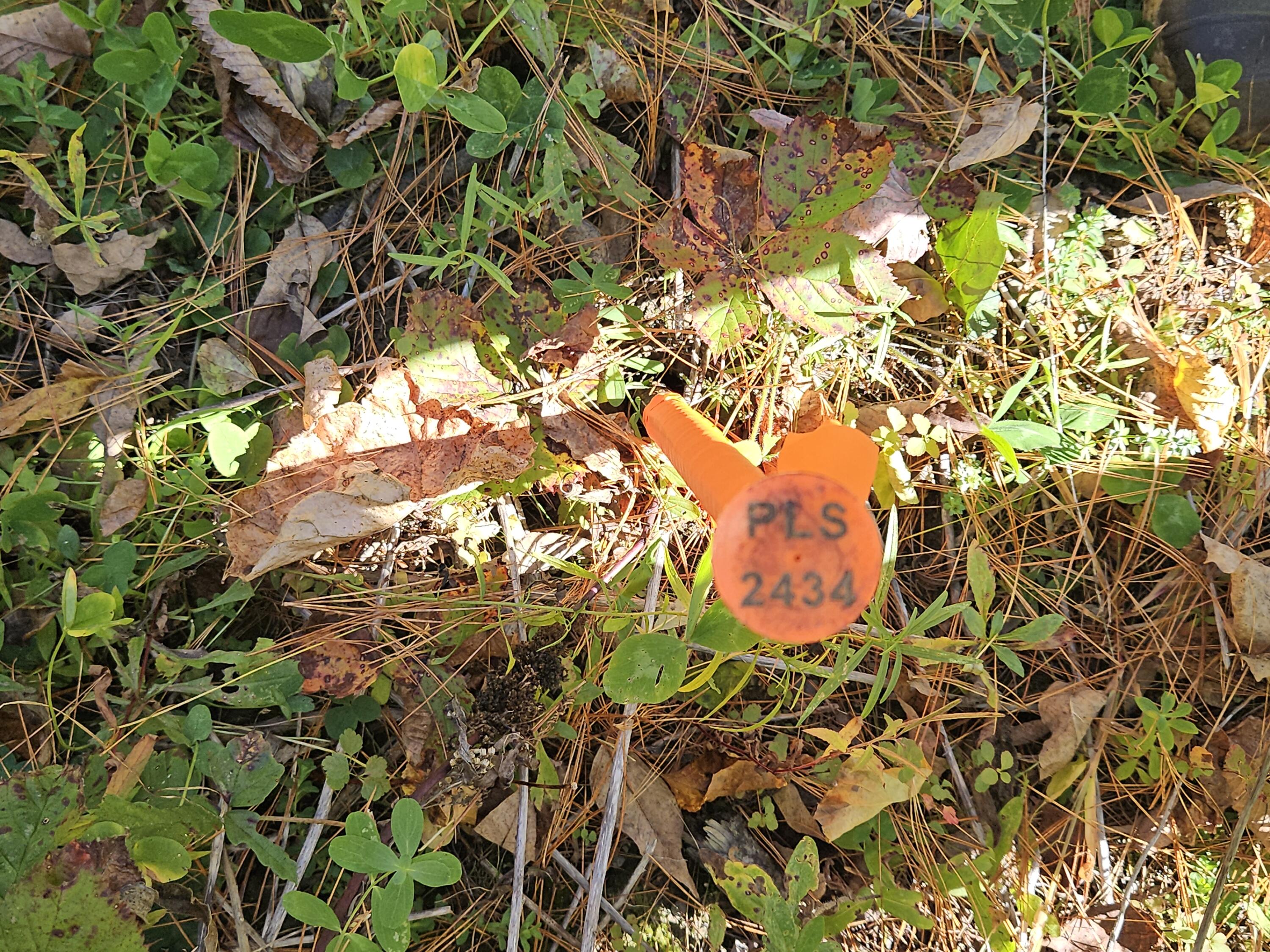 R11-033-1 Bailey Hill Road Farmington ME 04938