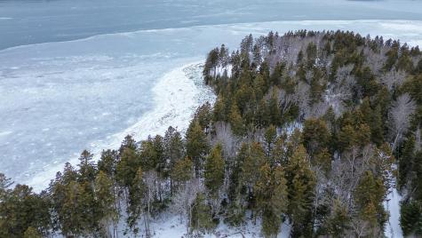 Lot B Fort Williams Road Harrington ME 04643