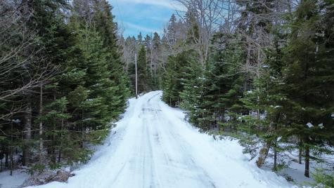 Lot B Fort Williams Road Harrington ME 04643
